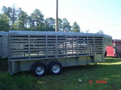 2010 Calico cattle